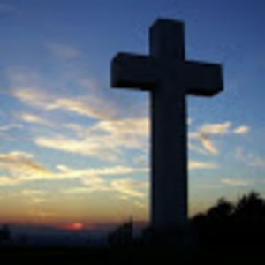 Meet your Posher, Vicki